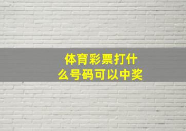 体育彩票打什么号码可以中奖