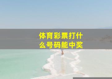 体育彩票打什么号码能中奖