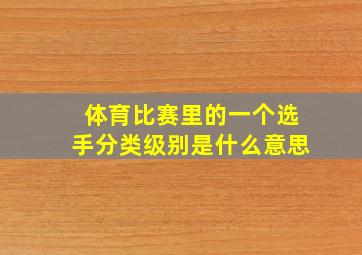 体育比赛里的一个选手分类级别是什么意思