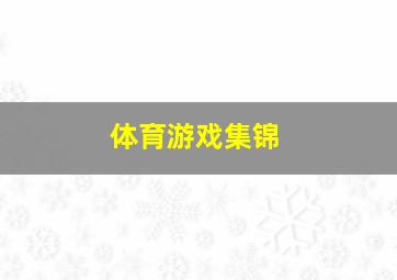 体育游戏集锦