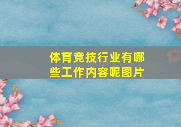 体育竞技行业有哪些工作内容呢图片