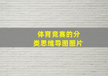 体育竞赛的分类思维导图图片