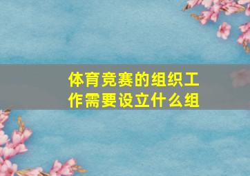 体育竞赛的组织工作需要设立什么组