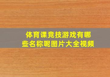 体育课竞技游戏有哪些名称呢图片大全视频