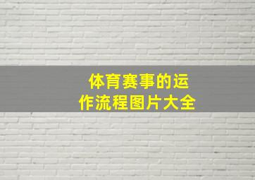 体育赛事的运作流程图片大全