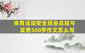 体育运动安全班会总结与反思500字作文怎么写