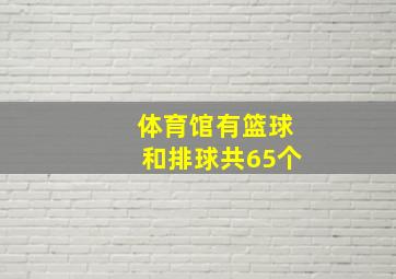 体育馆有篮球和排球共65个