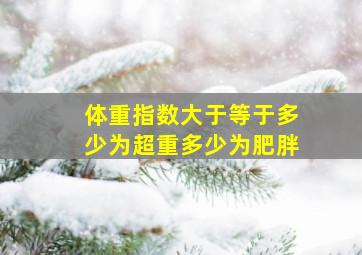 体重指数大于等于多少为超重多少为肥胖