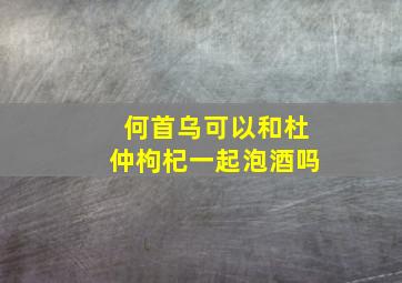 何首乌可以和杜仲枸杞一起泡酒吗