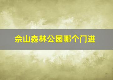 佘山森林公园哪个门进