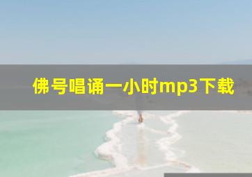 佛号唱诵一小时mp3下载