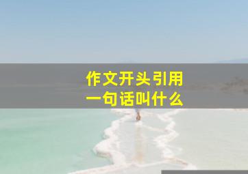 作文开头引用一句话叫什么