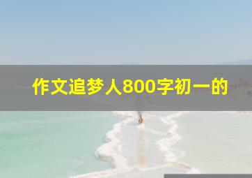 作文追梦人800字初一的