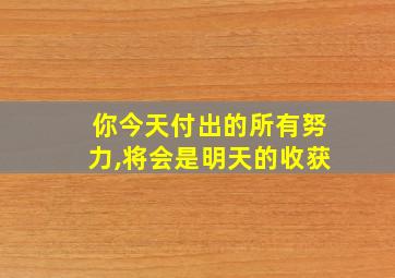 你今天付出的所有努力,将会是明天的收获