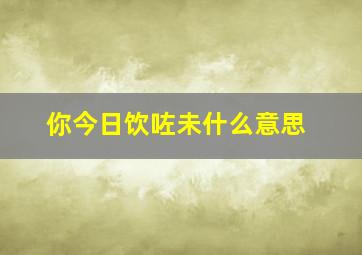 你今日饮咗未什么意思