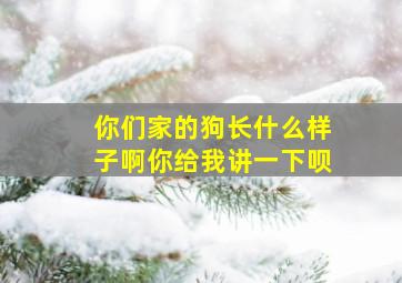 你们家的狗长什么样子啊你给我讲一下呗