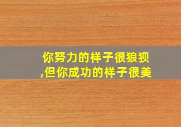 你努力的样子很狼狈,但你成功的样子很美