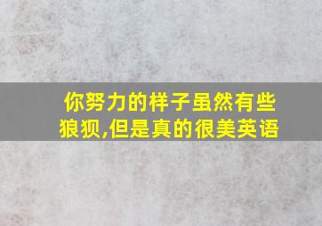 你努力的样子虽然有些狼狈,但是真的很美英语