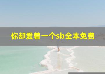 你却爱着一个sb全本免费