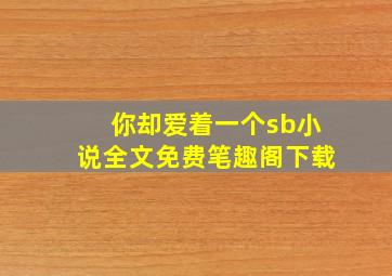 你却爱着一个sb小说全文免费笔趣阁下载