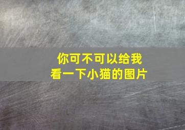 你可不可以给我看一下小猫的图片