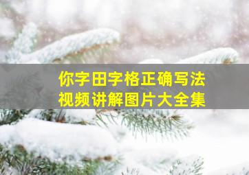 你字田字格正确写法视频讲解图片大全集