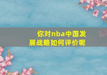 你对nba中国发展战略如何评价呢