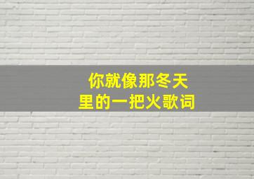 你就像那冬天里的一把火歌词