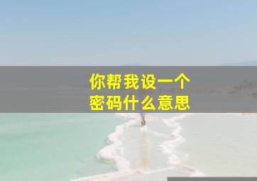 你帮我设一个密码什么意思