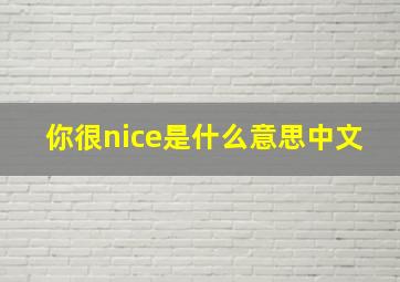 你很nice是什么意思中文