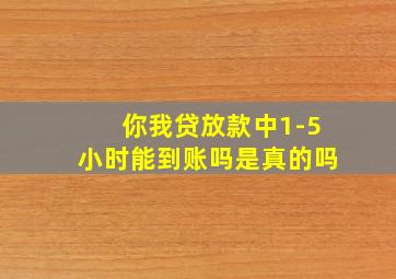 你我贷放款中1-5小时能到账吗是真的吗