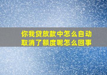 你我贷放款中怎么自动取消了额度呢怎么回事