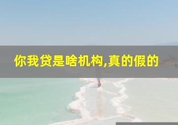 你我贷是啥机构,真的假的