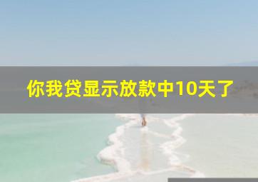 你我贷显示放款中10天了