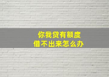 你我贷有额度借不出来怎么办