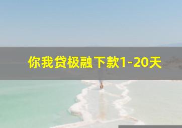 你我贷极融下款1-20天