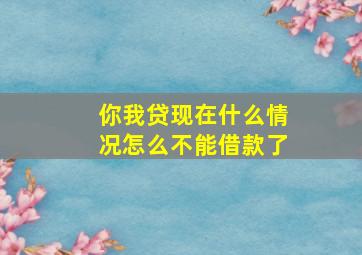 你我贷现在什么情况怎么不能借款了