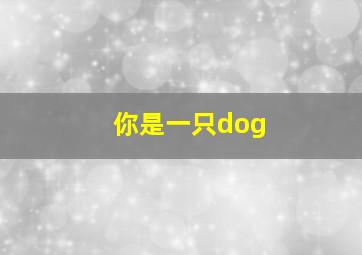 你是一只dog