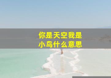 你是天空我是小鸟什么意思