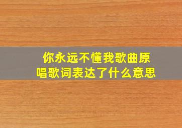 你永远不懂我歌曲原唱歌词表达了什么意思