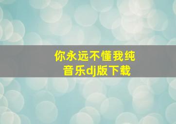 你永远不懂我纯音乐dj版下载