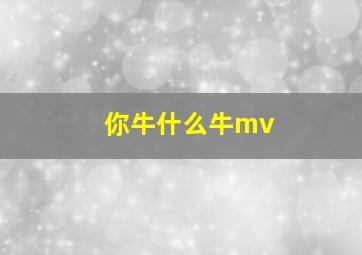 你牛什么牛mv