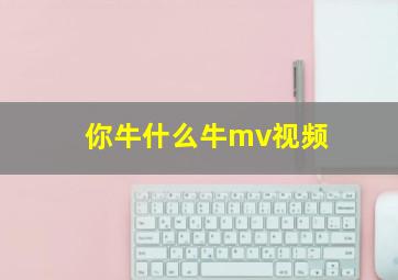 你牛什么牛mv视频