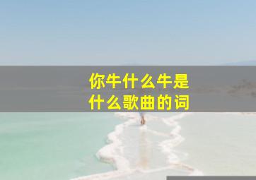 你牛什么牛是什么歌曲的词