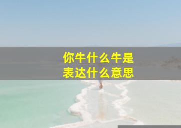 你牛什么牛是表达什么意思