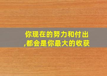 你现在的努力和付出,都会是你最大的收获