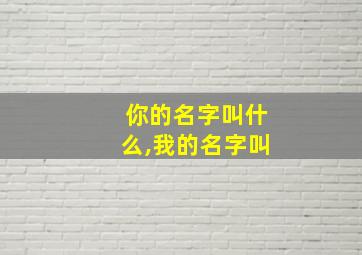 你的名字叫什么,我的名字叫