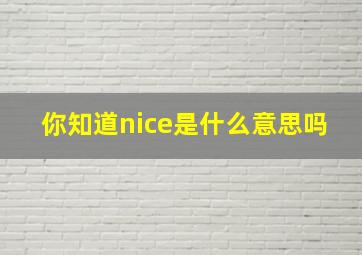 你知道nice是什么意思吗