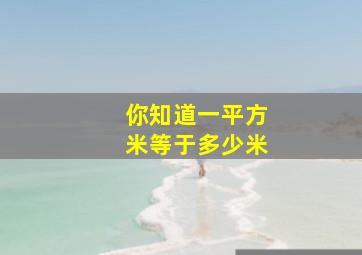 你知道一平方米等于多少米