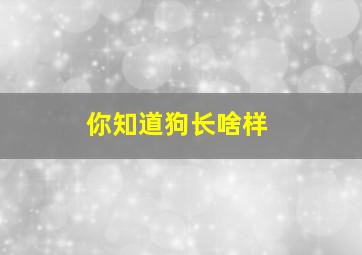 你知道狗长啥样